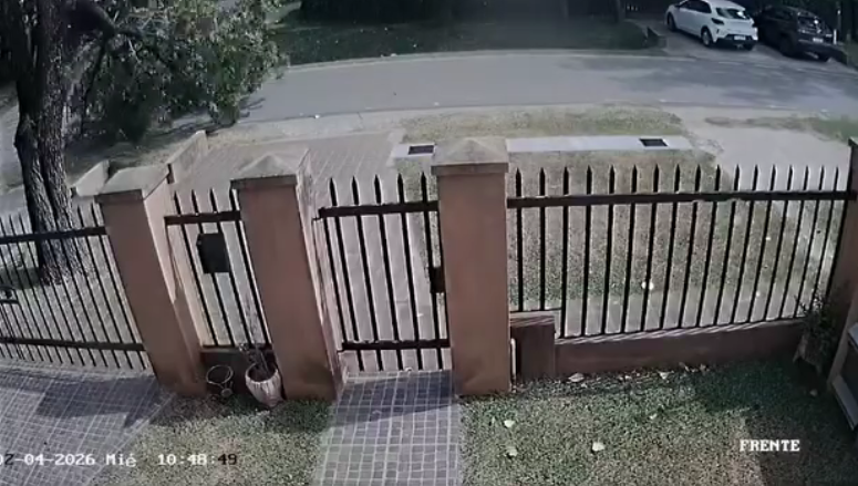 Se salvó de milagro: una enorme rama cayó con el vendaval y casi aplasta a un motociclista en Funes